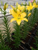 [4020 Cevennes No01.JPG]